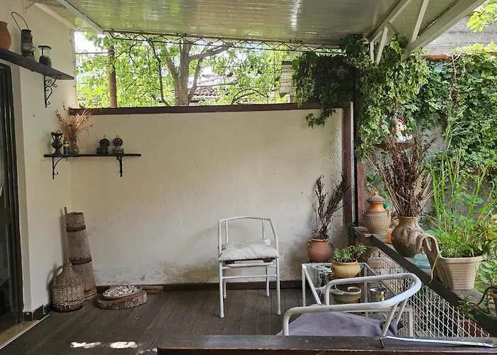 Angie's Shared Tam * 地拉那