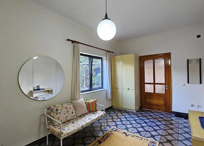 Angie's Shared Tam *