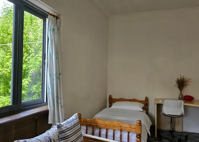 Angie's Shared Tam *