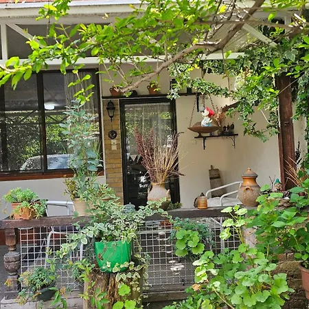 Privatunterkunft Angie's Shared Tam