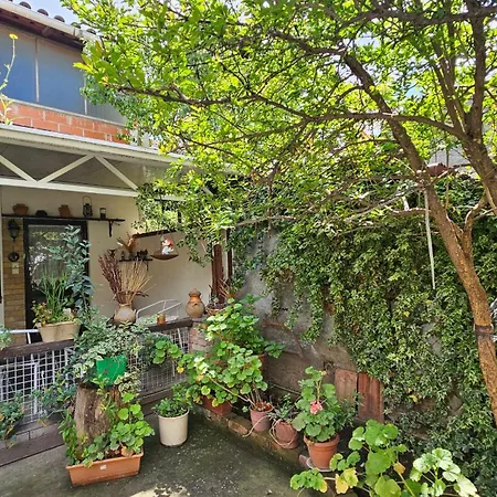 Accommodatie bij particulieren Angie's Shared Tam Tirana