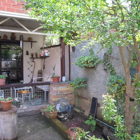 Angie's Shared Tam Accommodatie bij particulieren
