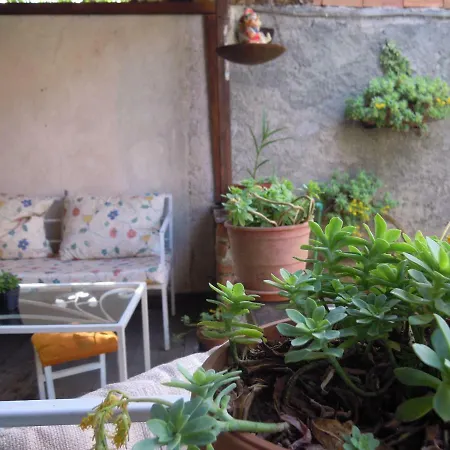 Accommodatie bij particulieren Angie's Shared Tam Tirana