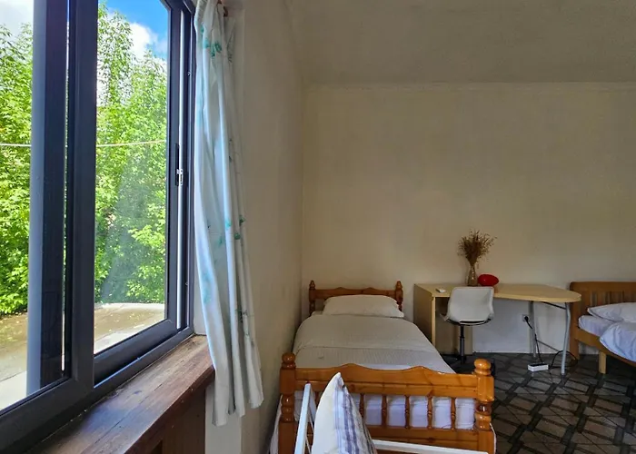 Angie's Shared Tam Tirana