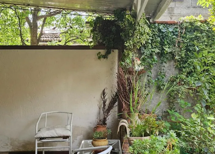 Angie's Shared Tam * Tirana